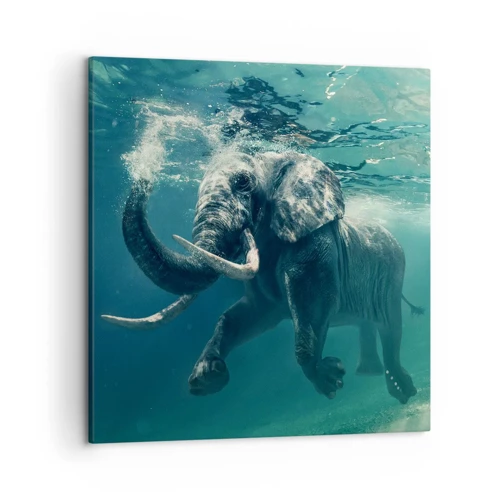 Quadro su tela 50x50 cm - L'elefante che faceva il bagno nell'arcobaleno -  Arttor - Negozio con decorazioni da parete