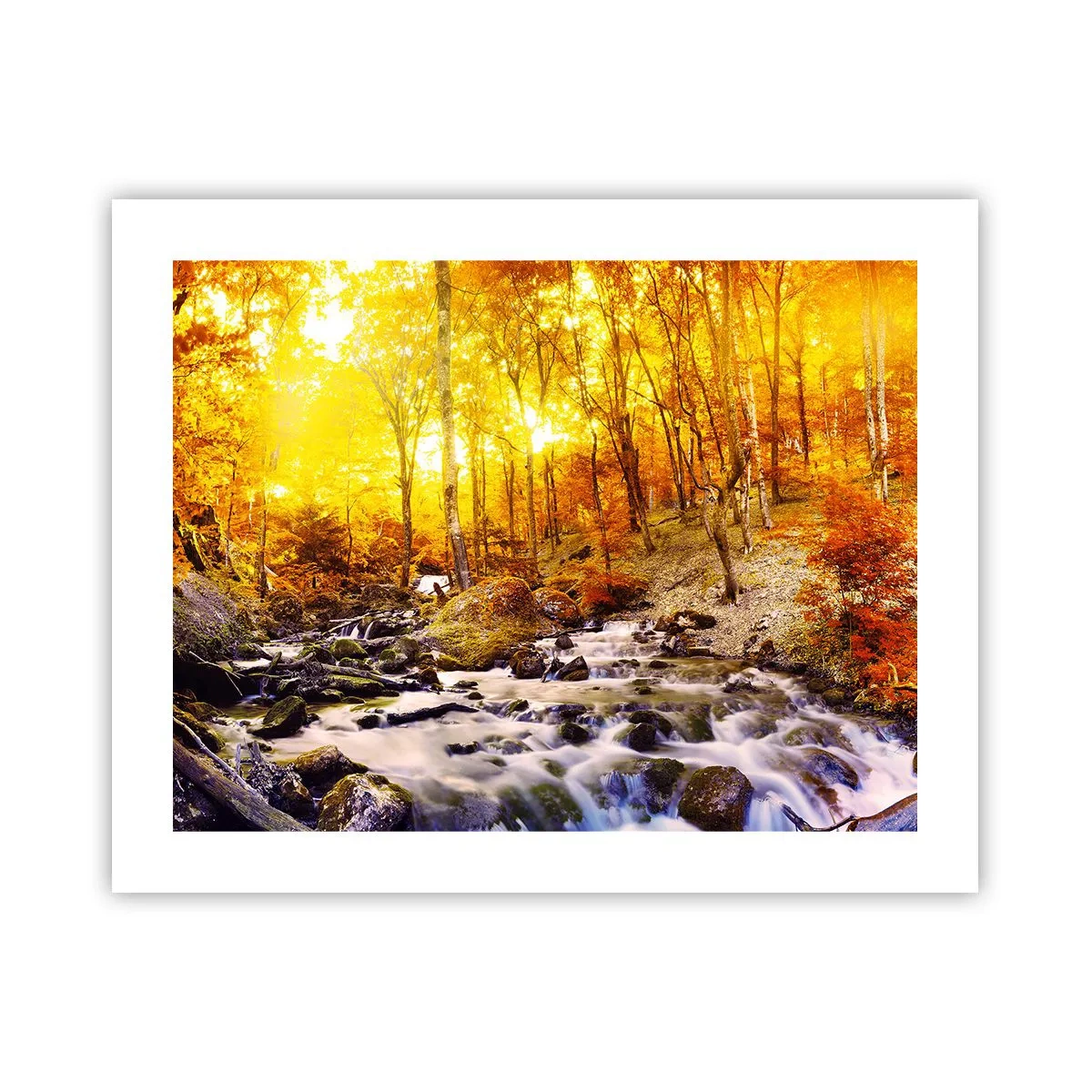 Poster - Pietre incorniciate in oro e platino - 50x40 cm