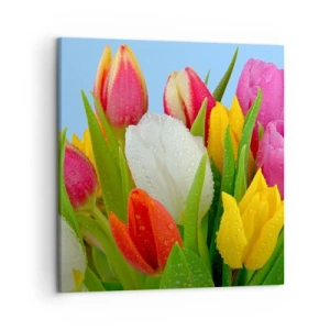 Quadro su tela - Stampe su Tela - Fiori multicolori nella rugiada - 50x50 cm