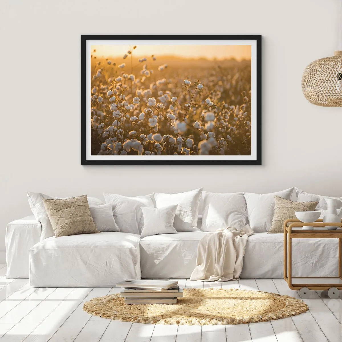 Poster in cornice nera - Un campo di cotone nella calda luce del sole al tramonto - 70x50cm - Campo di morbidezza - Decorazione murale moderna per soggiorno e camera da letto ARTTOR