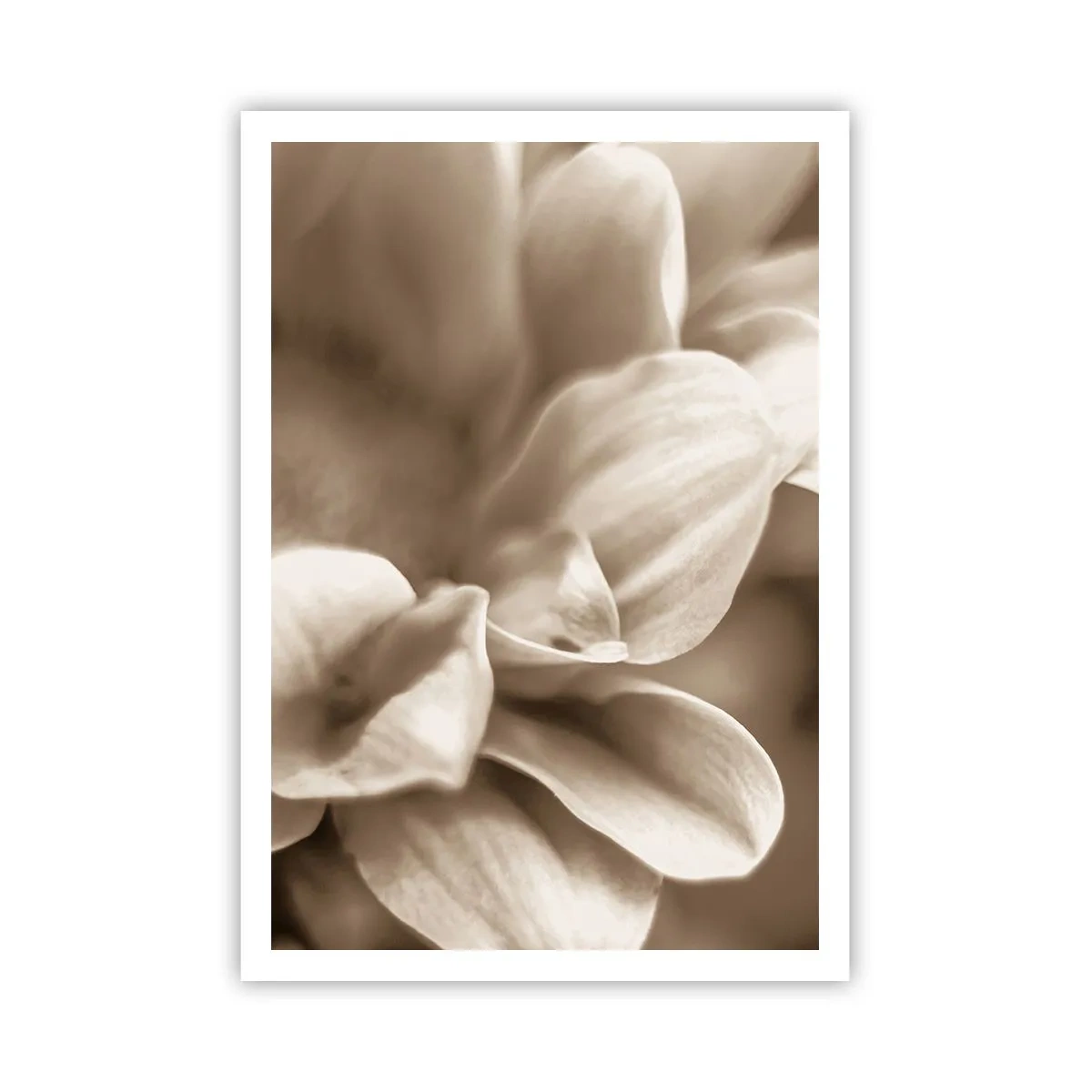 Poster - Mite come un sorriso - 70x100 cm