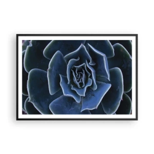 Poster in cornice nera - Primo piano di una rosetta succulenta verde - 100x70cm - Fiore del deserto - Decorazione murale moderna per soggiorno e camera da letto ARTTOR