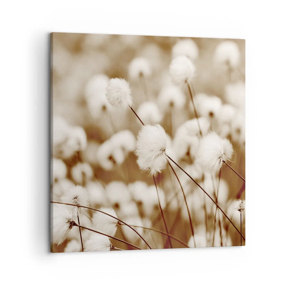 Quadro su tela - Stampe su Tela - Campo di morbidezza - 50x50 cm