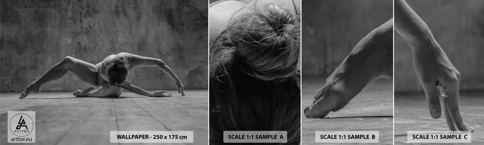 Campione Di Fotomurale Standard Eco - Simmetria ritrovata - Ballerina, Balletto, Danza - 100x30 cm