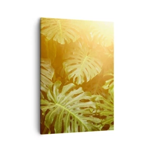Quadro su tela - Stampe su Tela - Foglie di Monstera alla luce del sole su uno sfondo naturale - 50x70cm - Entrando nel verde... - Decorazione murale moderna per soggiorno e camera da letto ARTTOR