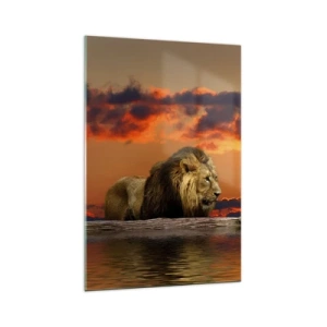 Quadro su vetro - Un leone riposa in riva all'acqua al tramonto, con un cielo spettacolare. - 70x100cm - Il re della natura - Decorazione murale moderna per soggiorno e camera da letto ARTTOR