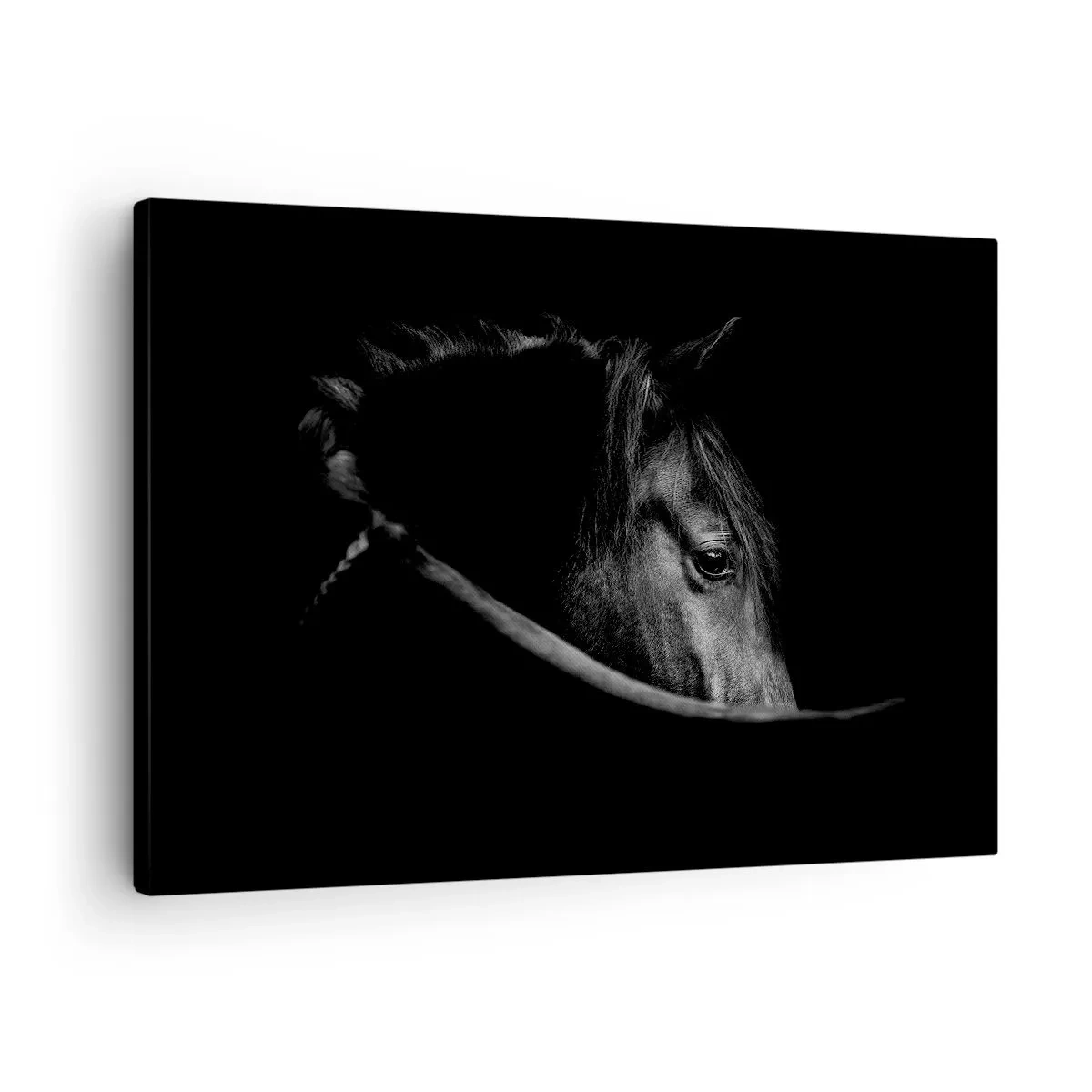 Quadro su tela - Stampe su Tela - Ritratto in bianco e nero di un cavallo con un sottile gioco di luci e ombre su uno sfondo scuro. - 70x50cm - Il principe nero - Decorazione murale moderna per soggiorno e camera da letto ARTTOR