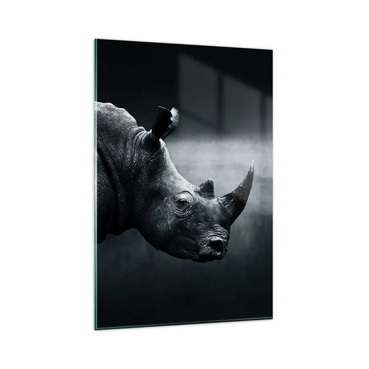 Quadro su vetro - Ritratto in bianco e nero di un rinoceronte su sfondo scuro - 80x120cm - Profilo destro - Decorazione murale moderna per soggiorno e camera da letto ARTTOR
