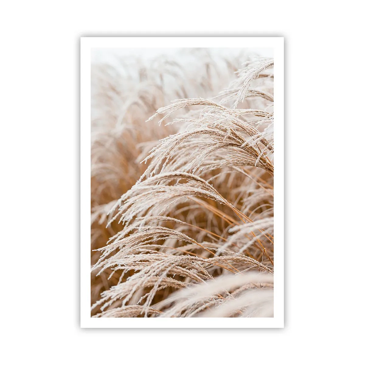 Poster - Inchino al sole d'autunno - 70x100 cm