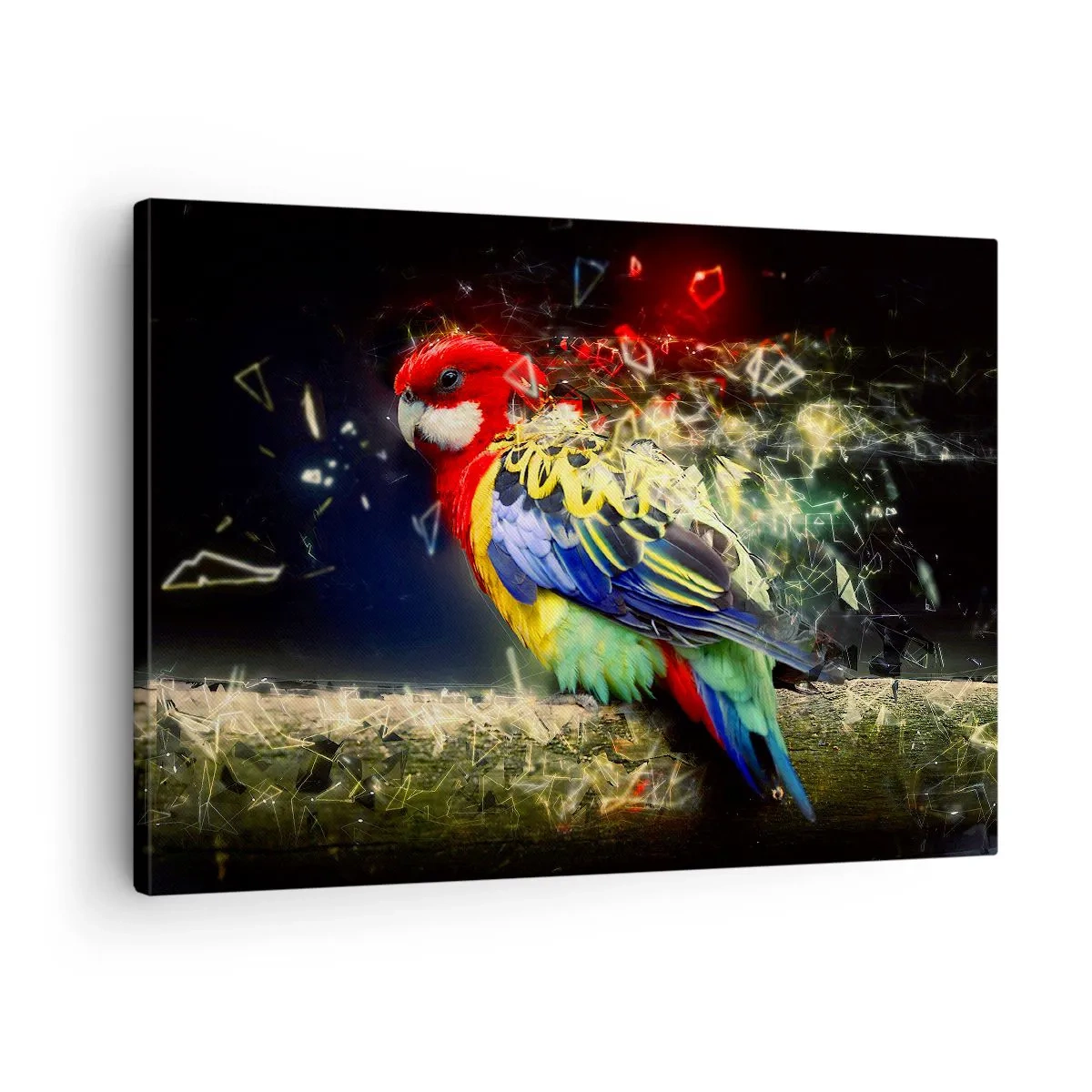 Quadro su tela - Stampe su Tela - Un pappagallo dai colori vivaci su uno sfondo di effetti di luce - 70x50cm - Messaggero di luce - Decorazione murale moderna per soggiorno e camera da letto ARTTOR