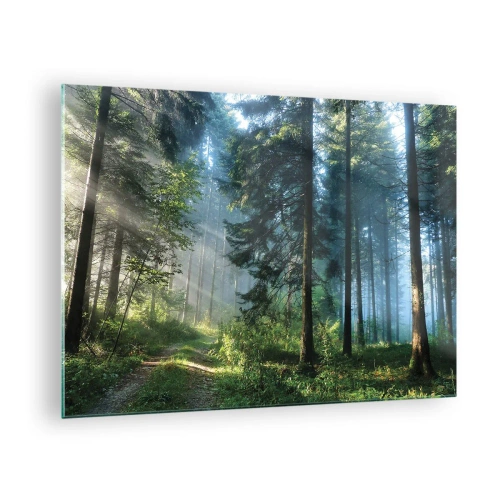 Quadro su vetro - Un sentiero nel bosco nella nebbia mattutina tra alberi alti - 70x50cm - Raggiante all'alba - Decorazione murale moderna per soggiorno e camera da letto ARTTOR