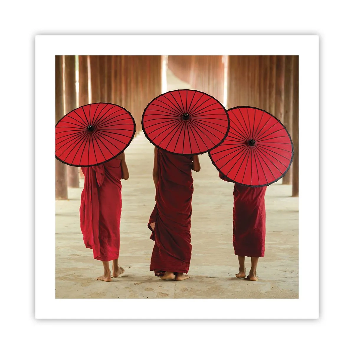 Poster - In cammino verso la Terra Pura - 50x50 cm