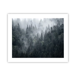 Poster - Alba nel bosco - 50x40 cm