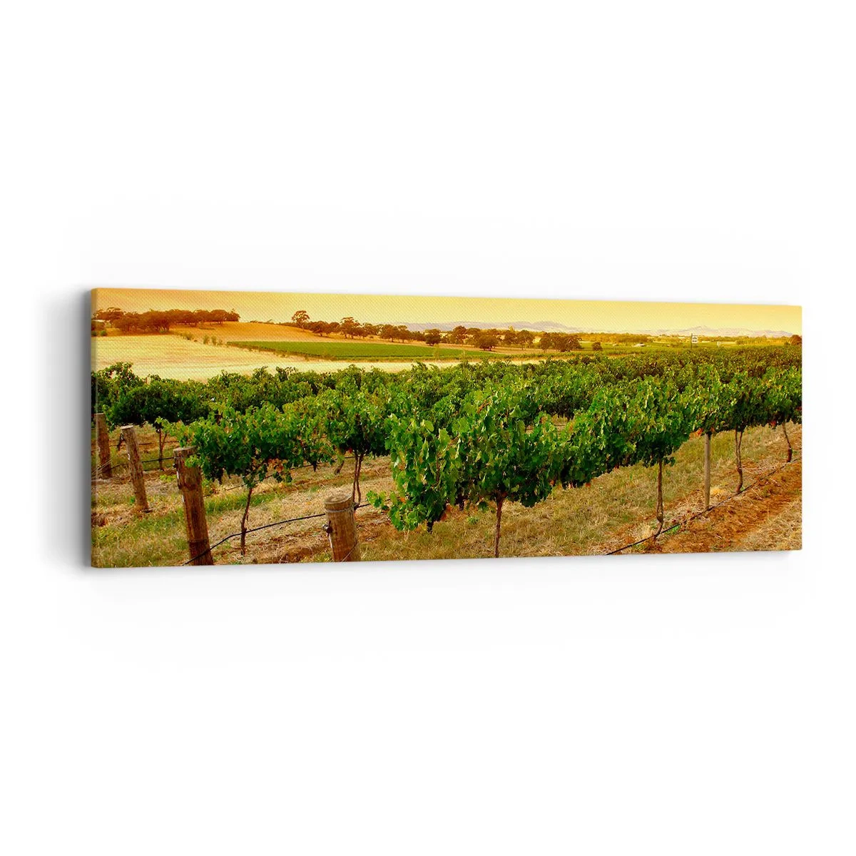 Quadro su tela - Stampe su Tela - Ubriacarsi di sole - 90x30 cm