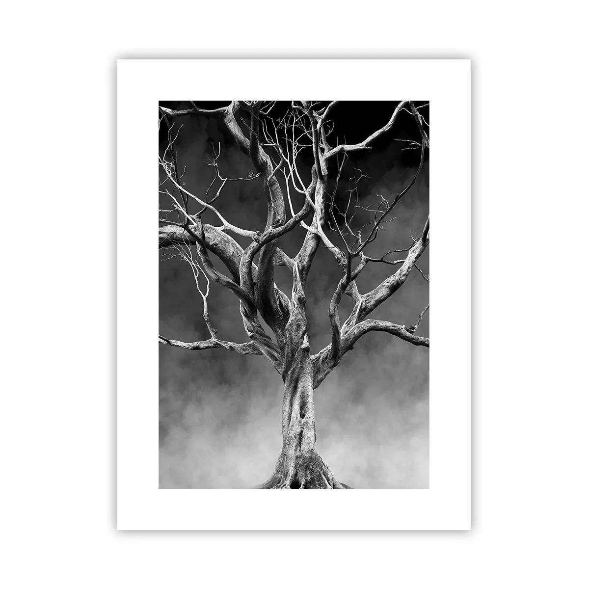 Poster - Primordiale e sacro - 30x40 cm