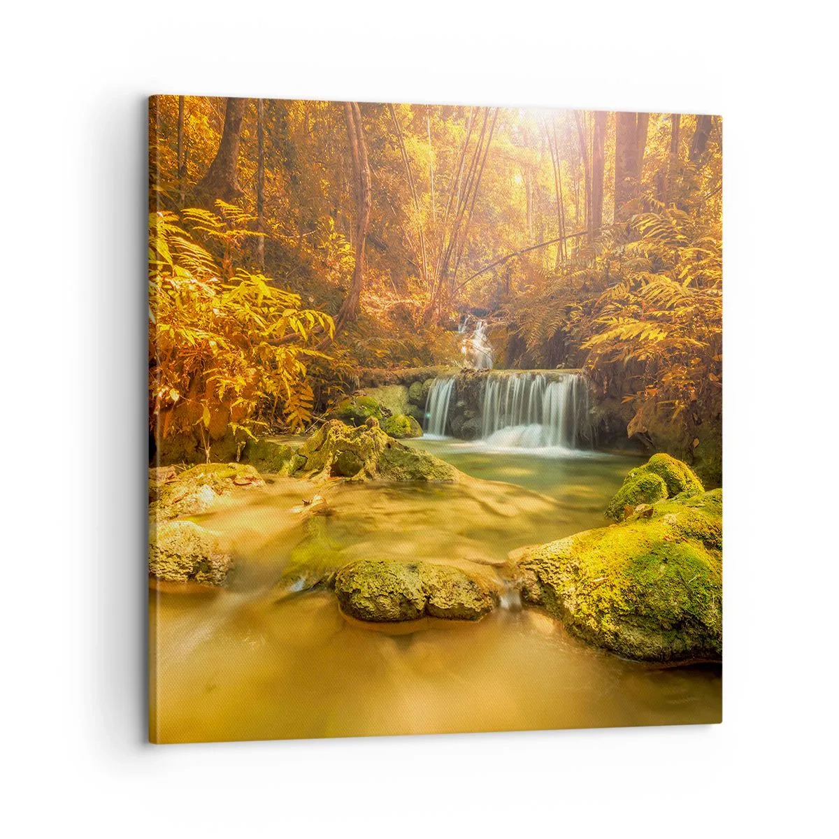 Quadro su tela - Stampe su Tela - Cascata boschiva in oro - 60x60 cm