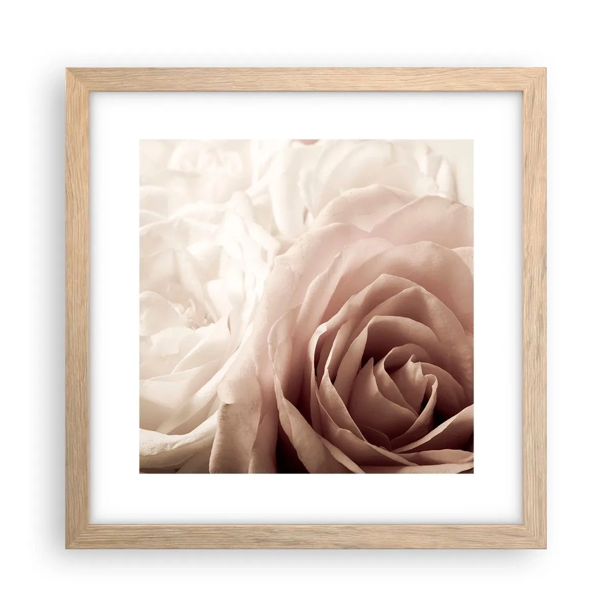 Poster in cornice rovere chiaro - Nel cuore della rosa - 30x30 cm