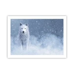 Poster - Nello spirito dell'inverno - 70x50 cm