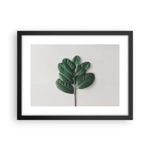Poster in cornice nera - Il disegno della natura stessa - 40x30 cm