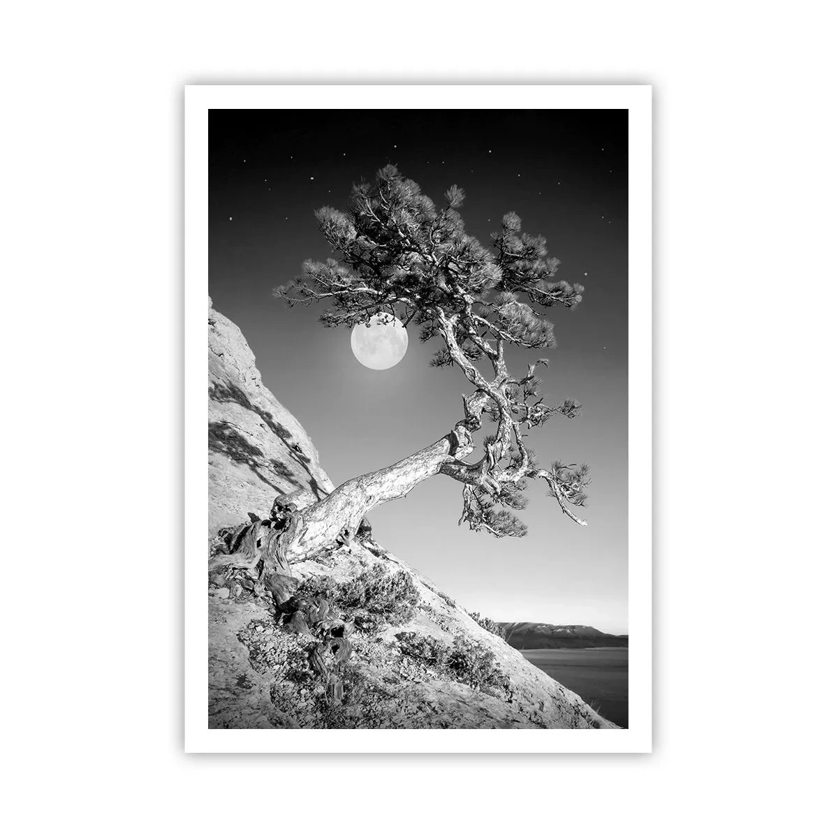 Poster - Guerriera vittoriosa  - 70x100 cm