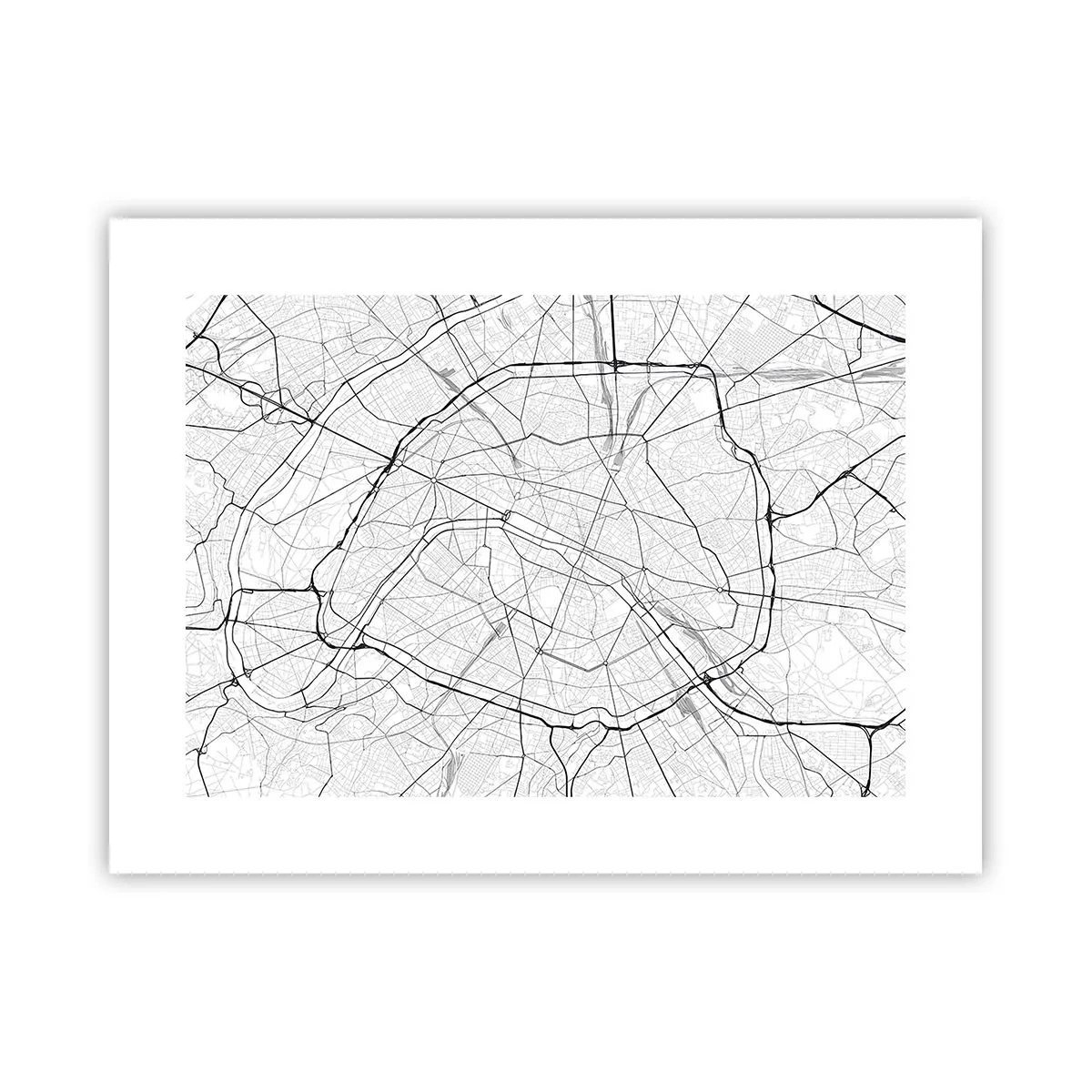 Poster - Il fiore di Parigi - 40x30 cm