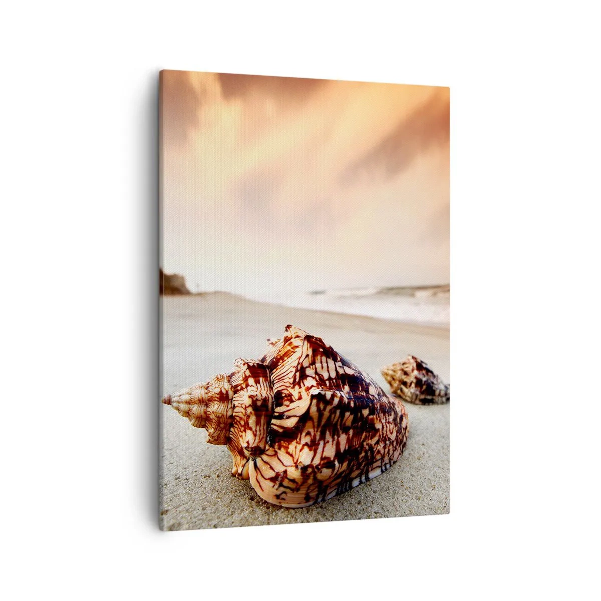 Quadro su tela - Stampe su Tela - Conchiglie sulla spiaggia al tramonto - 50x70cm - Esiliate dalle onde - Decorazione murale moderna per soggiorno e camera da letto ARTTOR