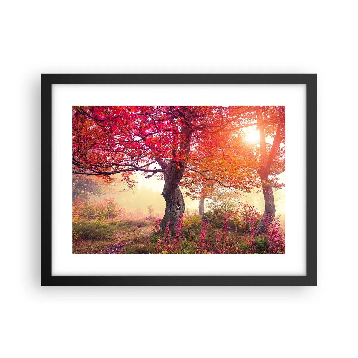 Poster in cornice nera - L'esplosione della fioritura - 40x30 cm