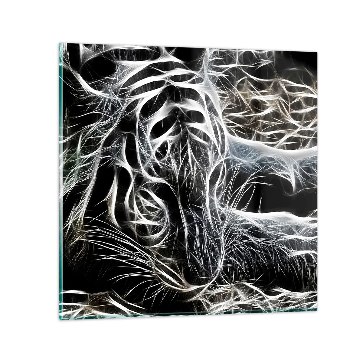 Quadro su vetro - Studio di leggerezza felina - 40x40 cm