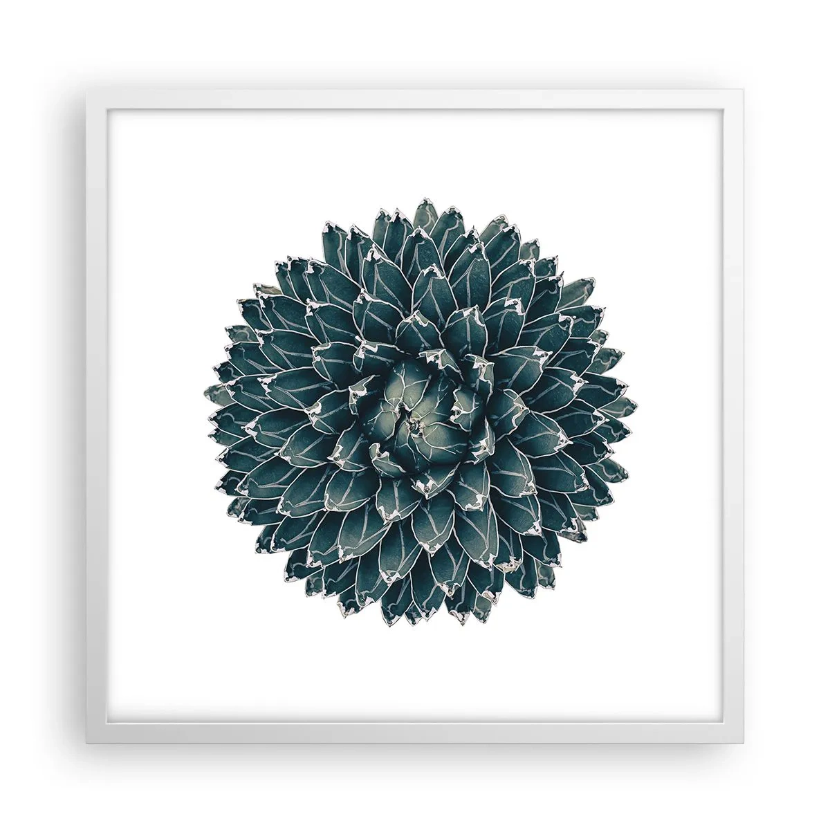 Poster in cornice bianca - La stella del deserto - 50x50 cm