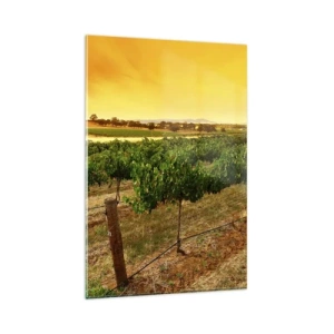 Quadro su vetro - Viti in una piantagione al tramonto dorato - 80x120cm - Ubriacarsi di sole - Decorazione murale moderna per soggiorno e camera da letto ARTTOR