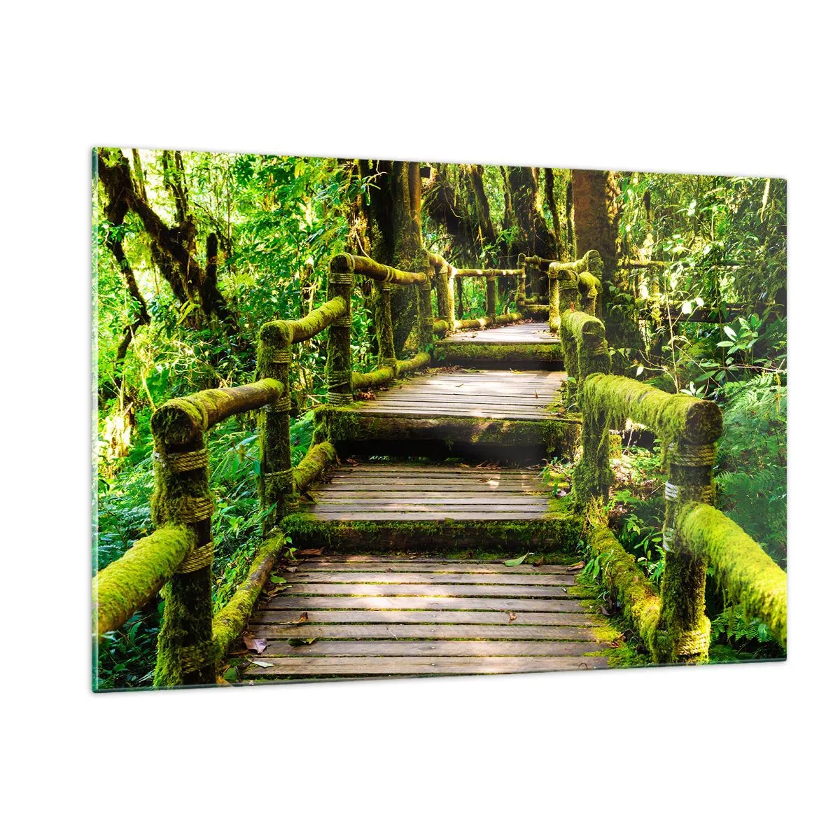 Quadro su vetro - Un sentiero di legno in una foresta verde ricoperta di muschio - 120x80cm - Un corridoio nel verde - Decorazione murale moderna per soggiorno e camera da letto ARTTOR