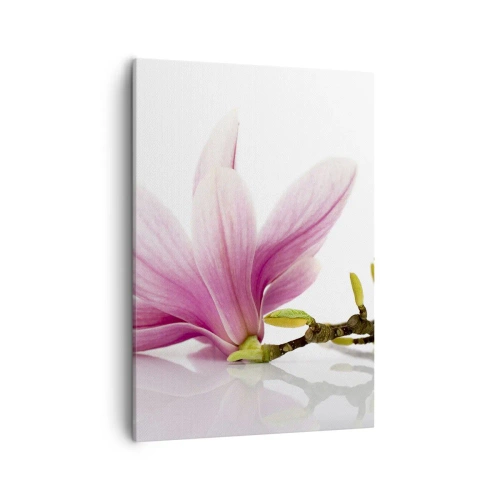 Quadro su tela - Stampe su Tela - Delicate magnolie rosa su sfondo bianco - 50x70cm - Delicati come un soffio di primavera - Decorazione murale moderna per soggiorno e camera da letto ARTTOR