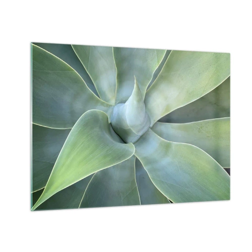 Quadro su vetro - Macrofotografia di una pianta verde con foglie a spirale - 70x50cm - La nascita del verde - Decorazione murale moderna per soggiorno e camera da letto ARTTOR