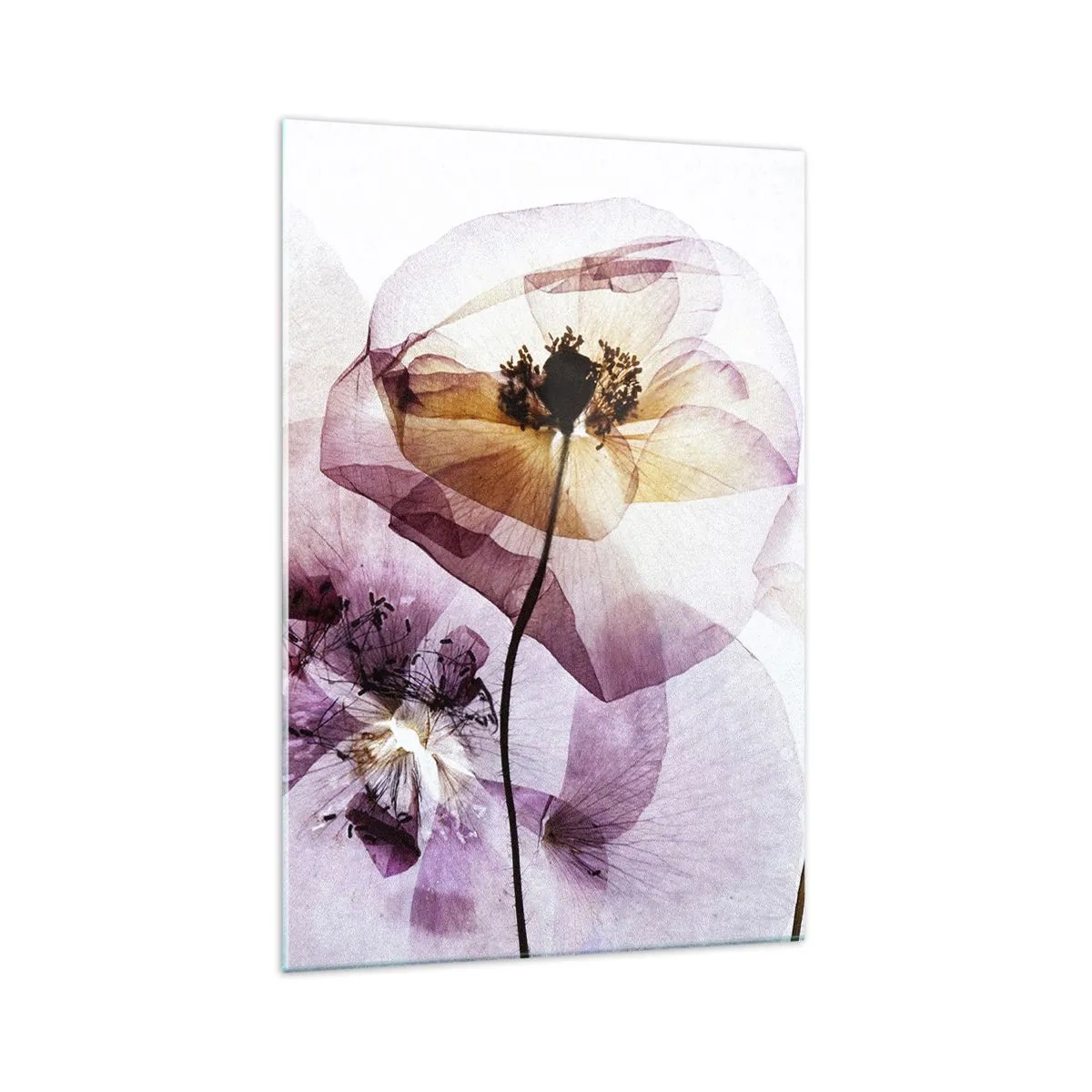 Quadro su vetro - Delicati fiori trasparenti in tonalità pastello - 70x100cm - Fiori trasparenti - Decorazione murale moderna per soggiorno e camera da letto ARTTOR