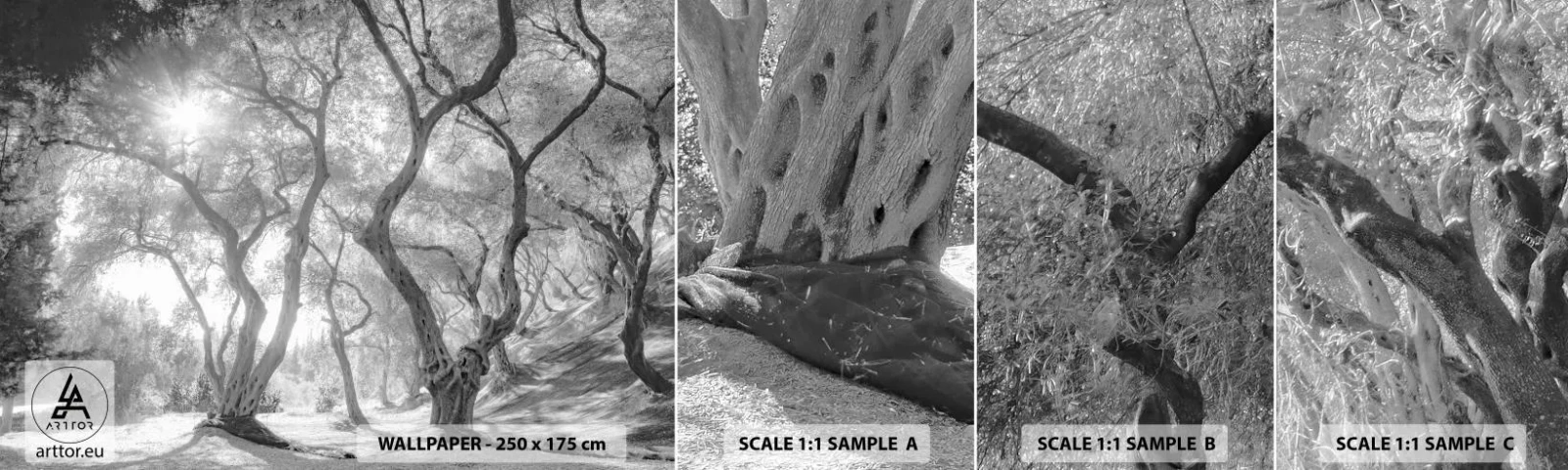 Campione Di Fotomurale Standard Eco - Nell'orto degli ulivi - foresta, Inverno, Alberi - 100x30 cm