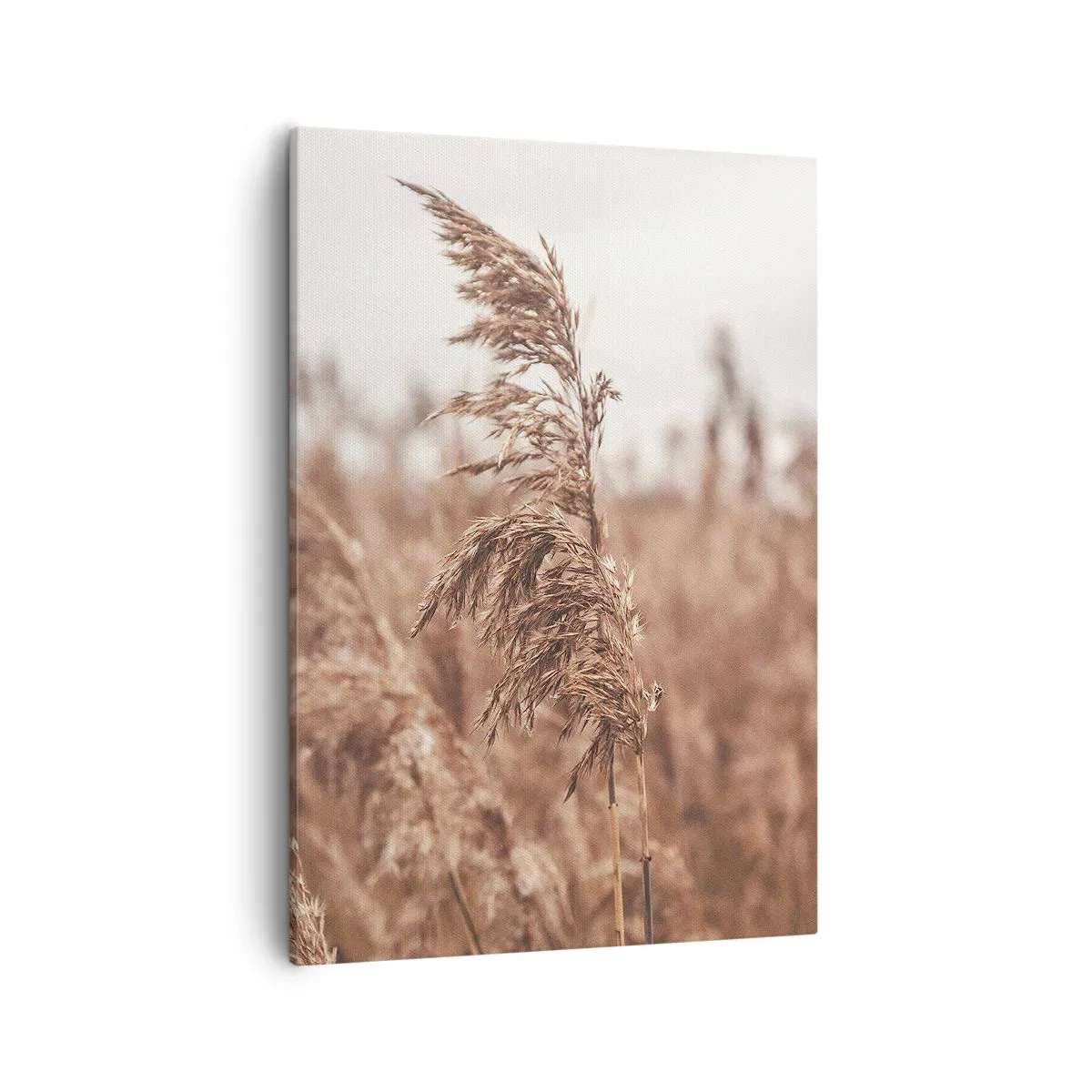 Quadro su tela - Stampe su Tela - Erbe dorate sullo sfondo di un paesaggio autunnale - 50x70cm - Nei campi è già autunno - Decorazione murale moderna per soggiorno e camera da letto ARTTOR