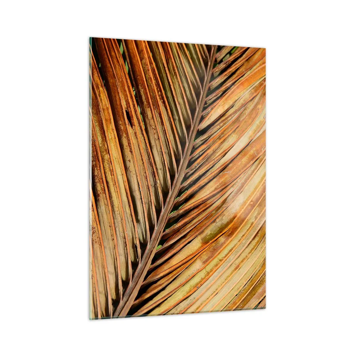 Quadro su vetro - Primo piano di foglie di palma secche e dorate - 50x70cm - Oro di cocco - Decorazione murale moderna per soggiorno e camera da letto ARTTOR