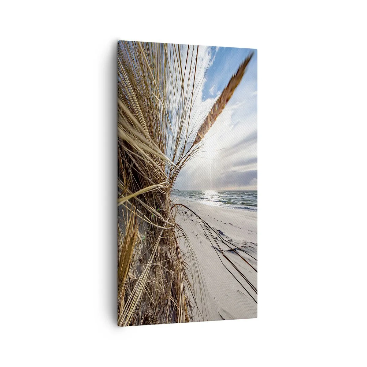 Quadro su tela - Stampe su Tela - L'incontro degli elementi - 55x100 cm