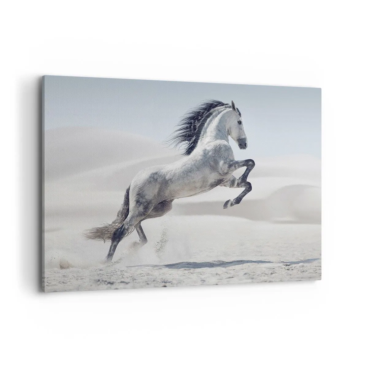Quadro su tela - Stampe su Tela - Un cavallo bianco al galoppo sullo sfondo delle dune del deserto - 120x80cm - Il principe arabo - Decorazione murale moderna per soggiorno e camera da letto ARTTOR