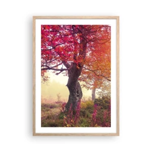 Poster in cornice rovere chiaro - L'esplosione della fioritura - 50x70 cm