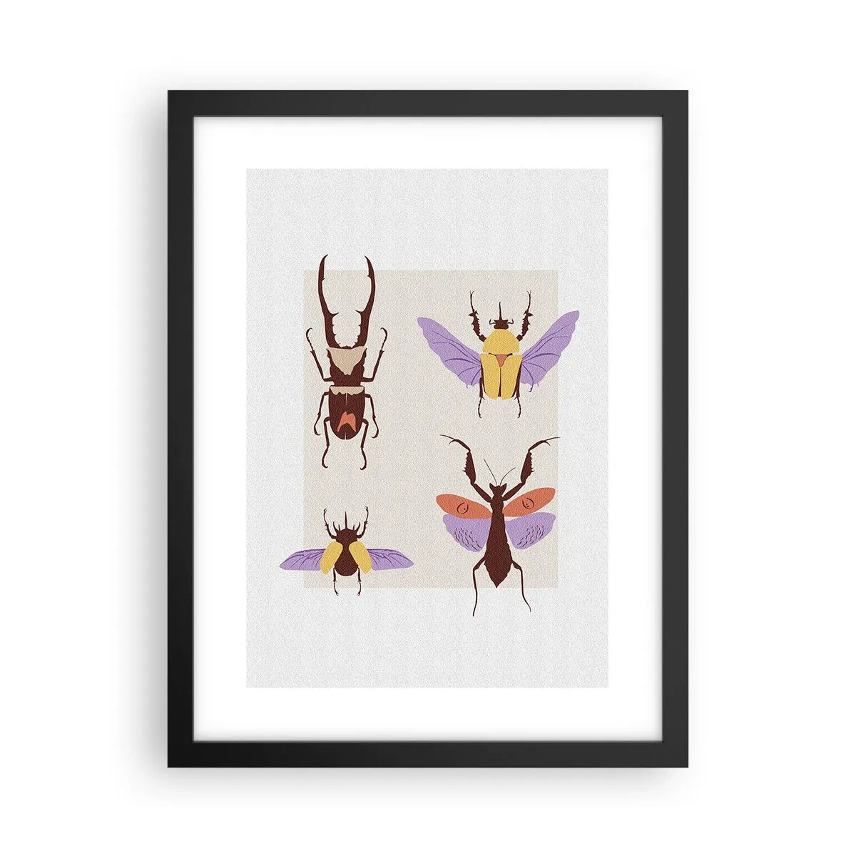 Poster in cornice nera - Il mondo degli insetti - 30x40 cm