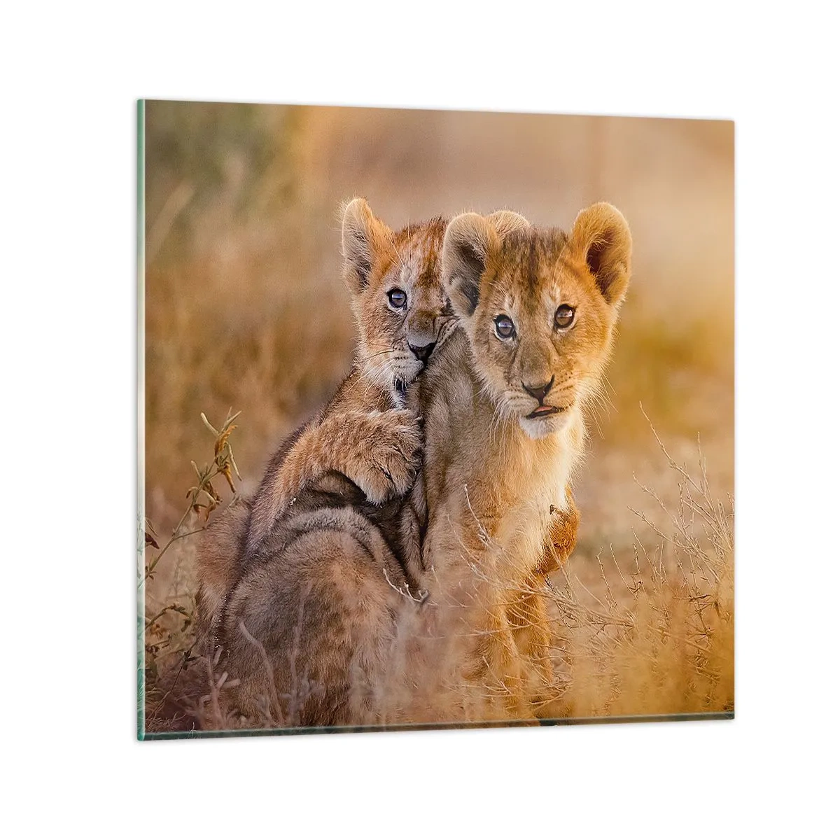 Quadro su vetro - Non disturbare! Giochiamo - 40x40 cm