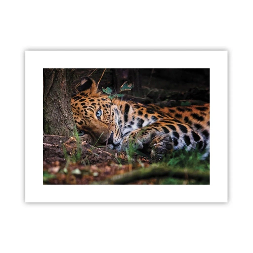 Poster - Fidati di me - 40x30 cm