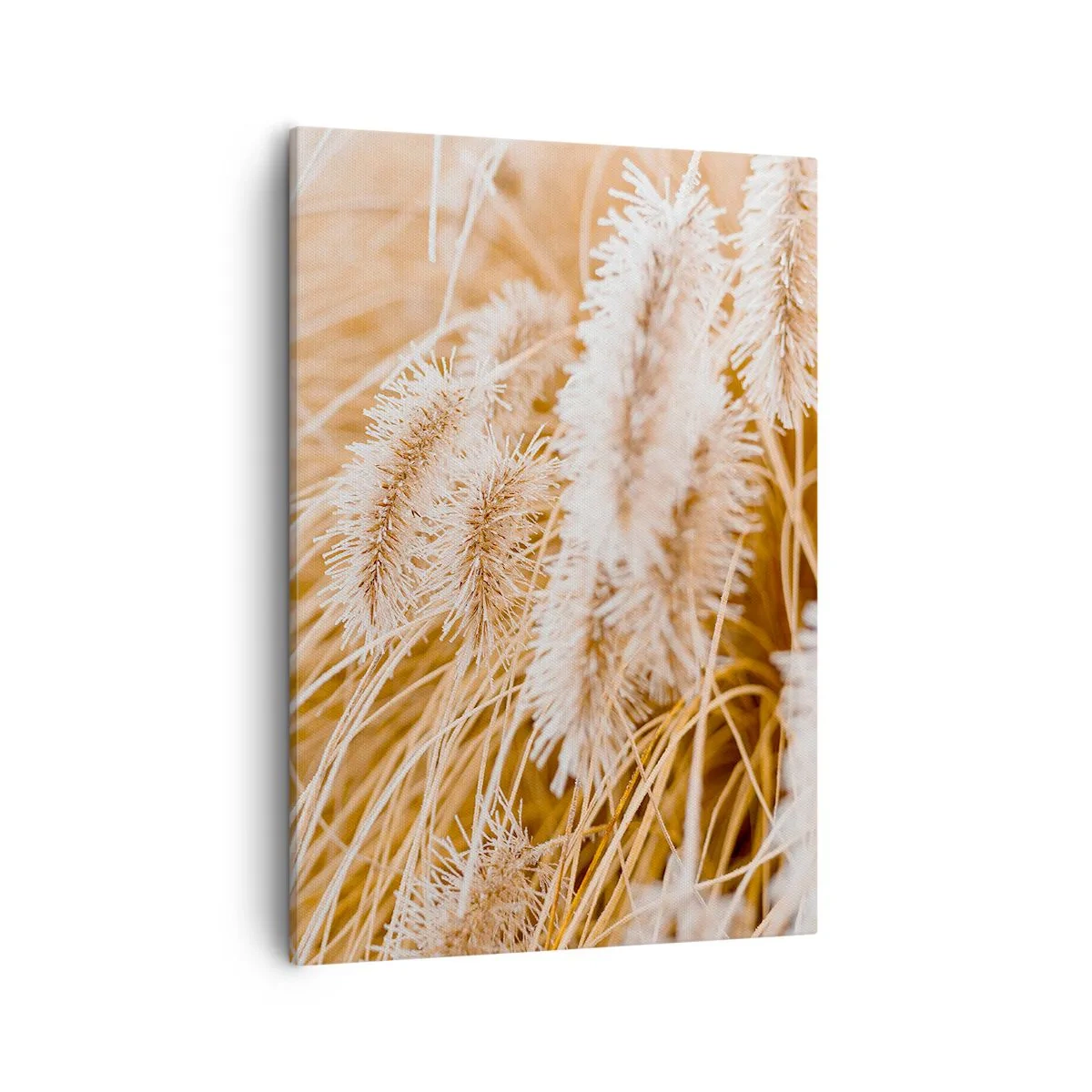 Quadro su tela - Stampe su Tela - Primo piano di erbe dorate e delicate alla luce del sole - 50x70cm - Il fruscio dorato dell'erba - Decorazione murale moderna per soggiorno e camera da letto ARTTOR