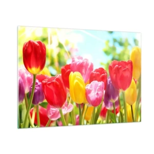 Quadro su vetro - Tulipani colorati alla luce del sole primaverile - 100x70cm - Eccoci, i colori di maggio! - Decorazione murale moderna per soggiorno e camera da letto ARTTOR