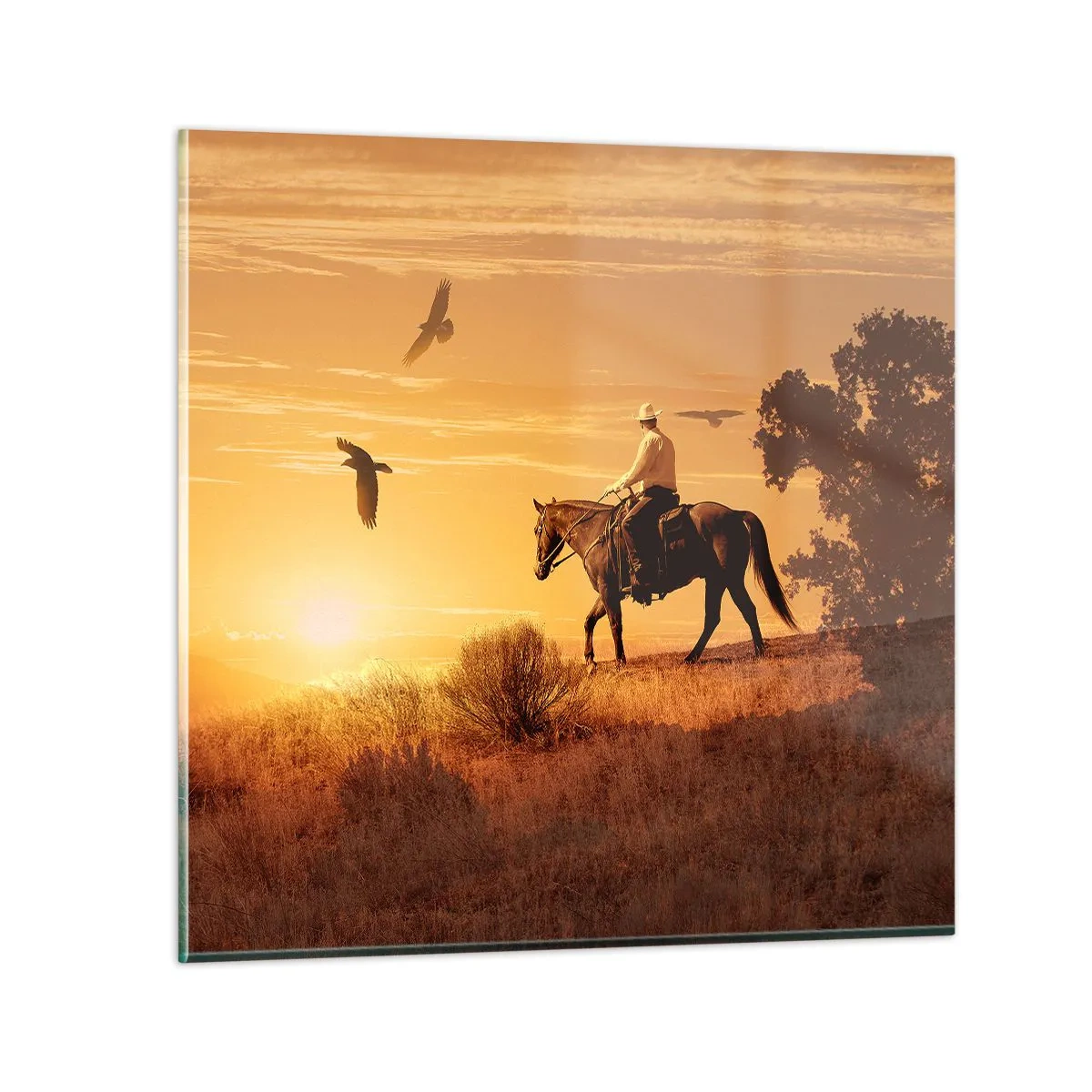 Quadro su vetro - Da solo nella prateria - 70x70 cm