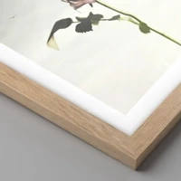 Rovere chiaro