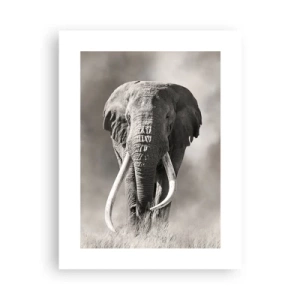 Poster - Patriarca africano - 30x40 cm