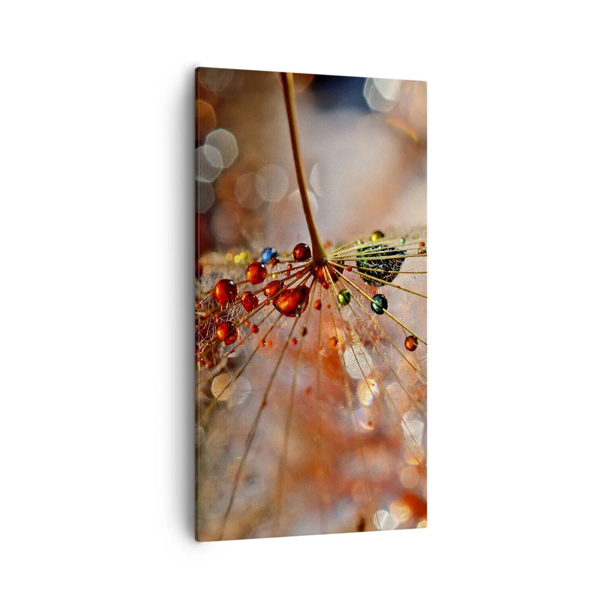 Quadro su tela - Stampe su Tela - Posate sulla ragnatela - 55x100 cm