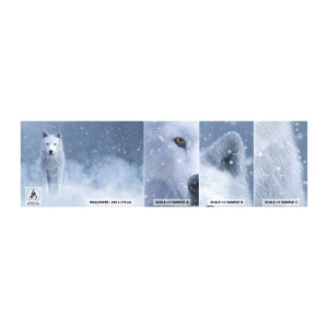 Campione di Fotomurale Adesivo Deluxe Sticker - Nello spirito dell'inverno - lupo Bianco, Animali, Inverno - 100x30 cm